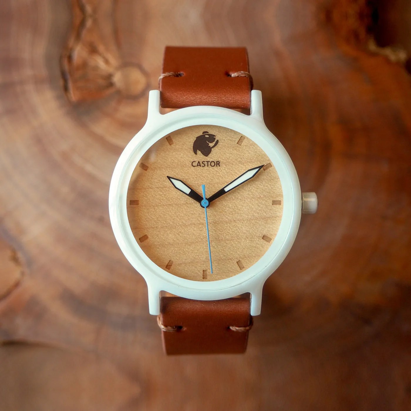 Castor Watches Andes