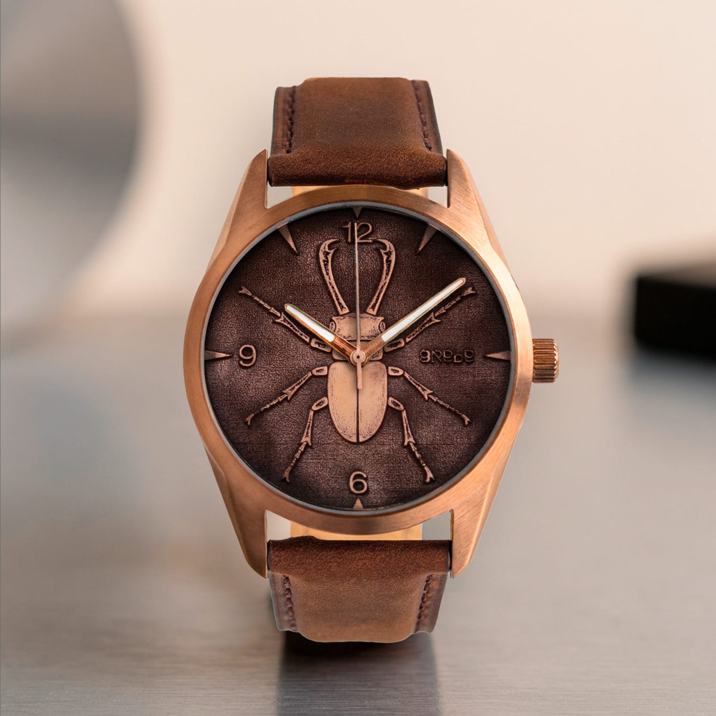 Castor Watches Cantaría