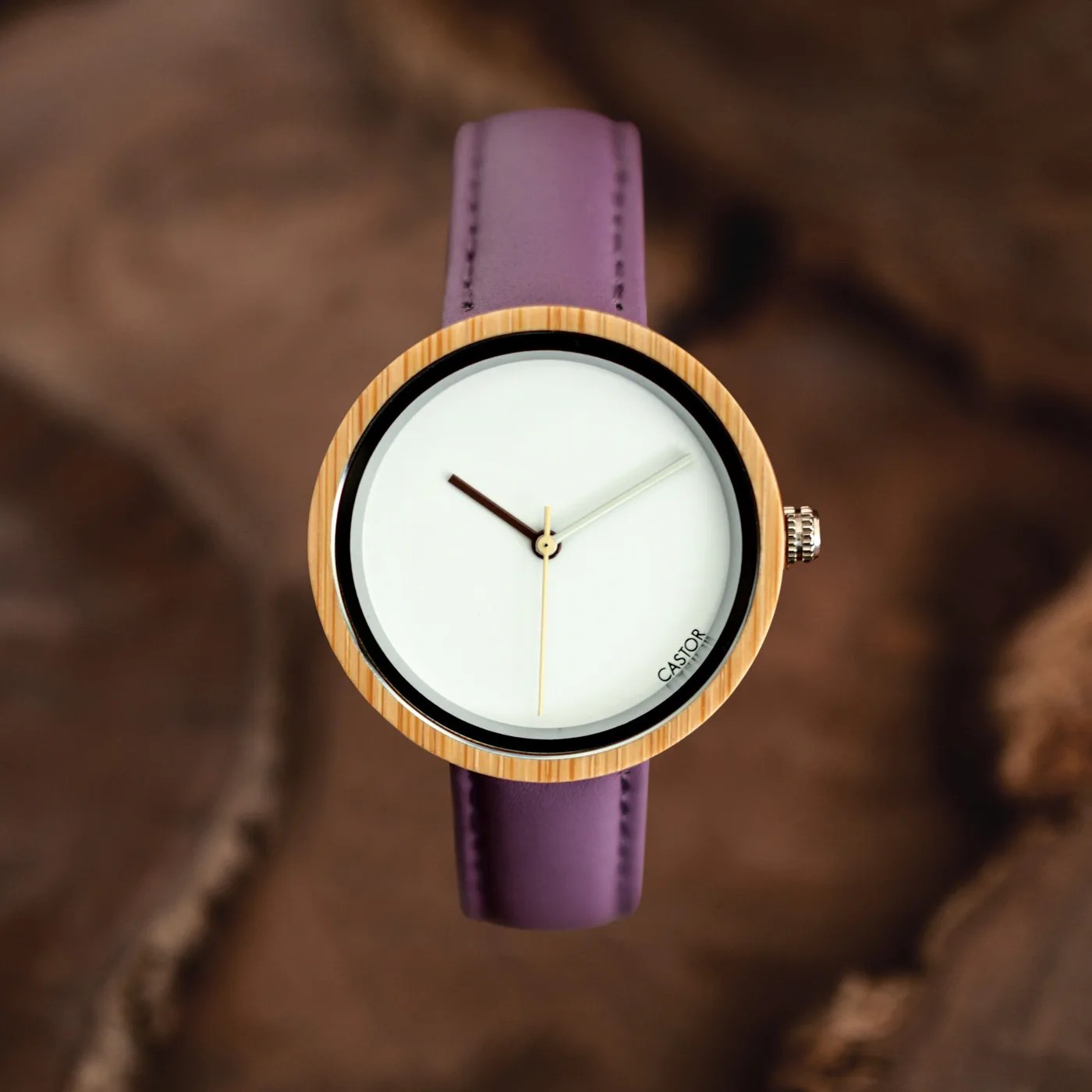 Castor Watches Luz