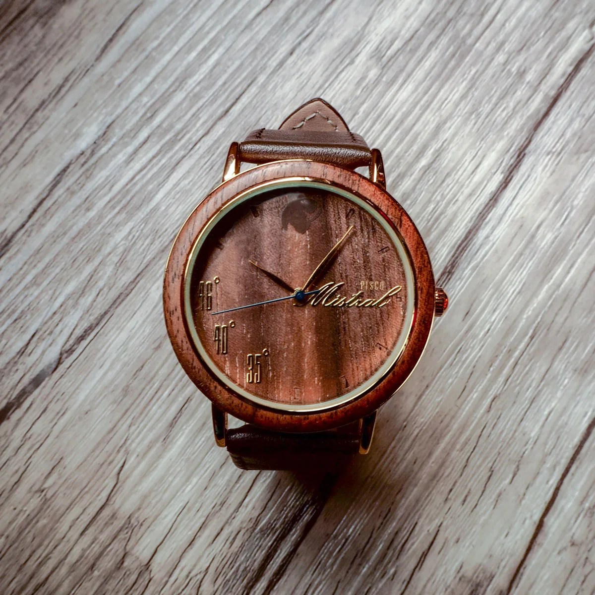 Castor Watches Mistral